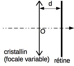 ../_images/optique_oeil_modele.jpg