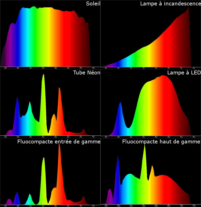 ../_images/Signaux_spectres_lumiere.jpg